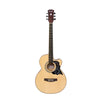 Techno - TMR-239C Semi-Acoustic Guitar