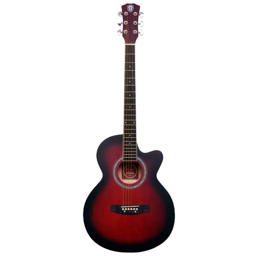 Techno Acoustic Guitar TM- 39 P