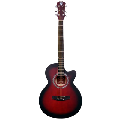 Techno Acoustic Guitar TM- 39 P
